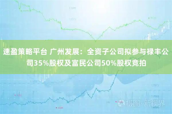 速盈策略平台 广州发展：全资子公司拟参与禄丰公司35%股权及富民公司50%股权竞拍