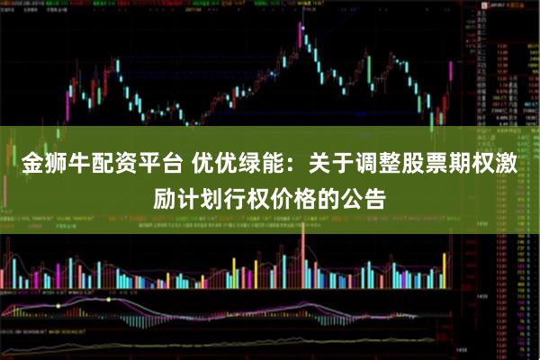 金狮牛配资平台 优优绿能：关于调整股票期权激励计划行权价格的公告
